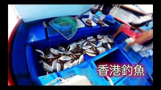 #香港釣魚 外海找不到黃腳？但爆釣頭鱸！