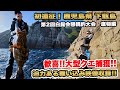 【クエ・石鯛釣り】朝マズメからクエ竿舞い込む❕デカバン・クエ捕獲舞い込みからの一部始終❕鹿児島県『下甑島』で記録更新❕