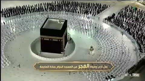 تلاوة فضيلة الشيخ ياسر الدوسري من صلاة الفجر ٢١ صفر ١٤٤٣ المسجد الحرام