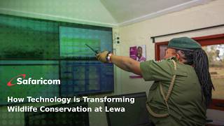 How Technology Is Transforming Wildlife Conservation At Lewa