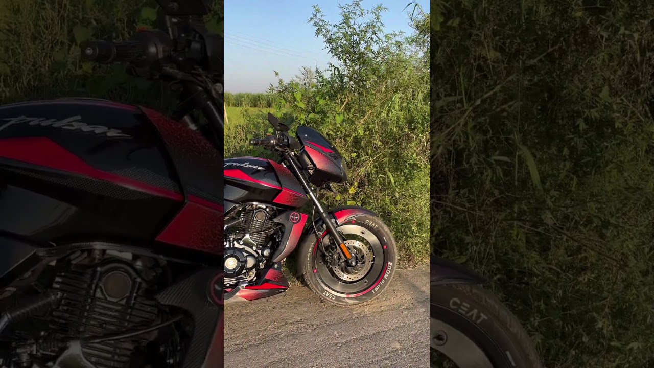 Modified pulsar 125 2025