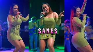 ARINDA WAE SANES AB PRO