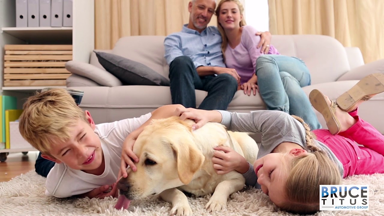 Animal Charities | Facebook Tageted Ads Example