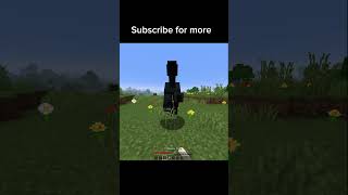 Minecraft memes 67😁 #minecraft
