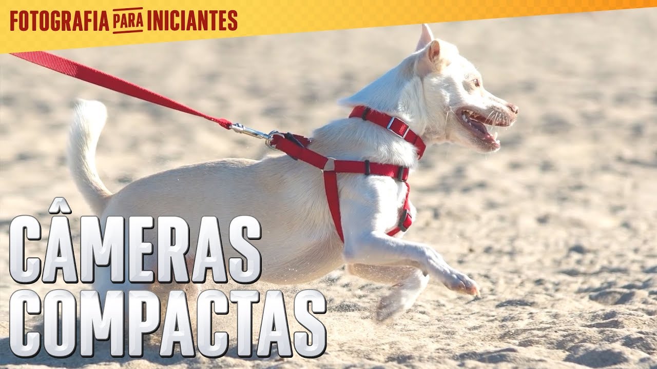 Configuração de câmeras compactas - Fotografia para Iniciantes ep. 5 - Kingston Brasil