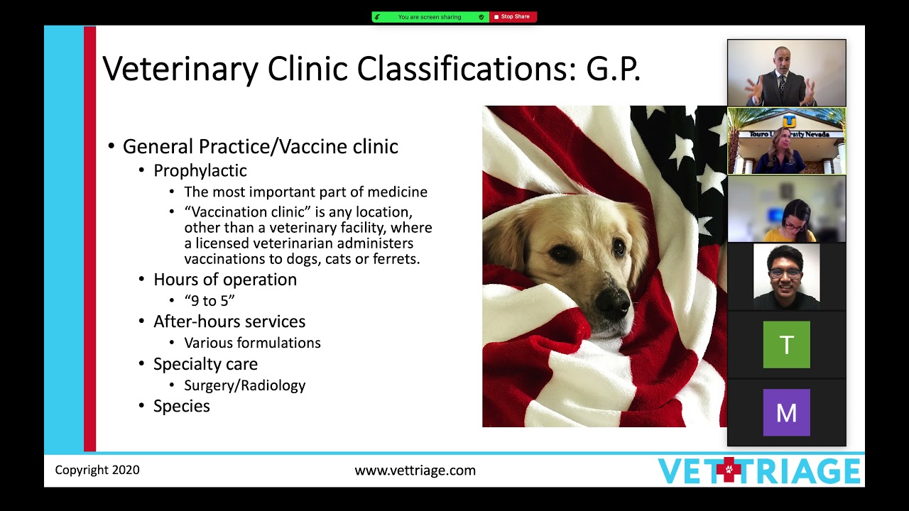 Where to take your pet for care? General Pet Care and Veterinary Aid I May  3 Acceptance Day Talk - YouTube