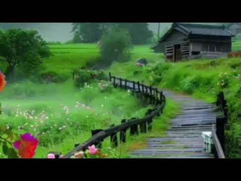 አስተማሪ ታሪክ ሁሉም ላደምጠዉ የሚገባ ከራስ በላይ ለሰወች መኖር