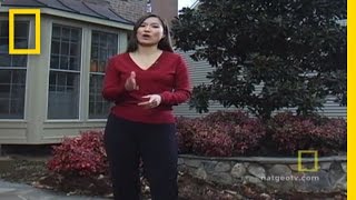 Green Home Makeover | National Geographic