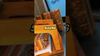 Fast Survival Actions For Real Life Danger