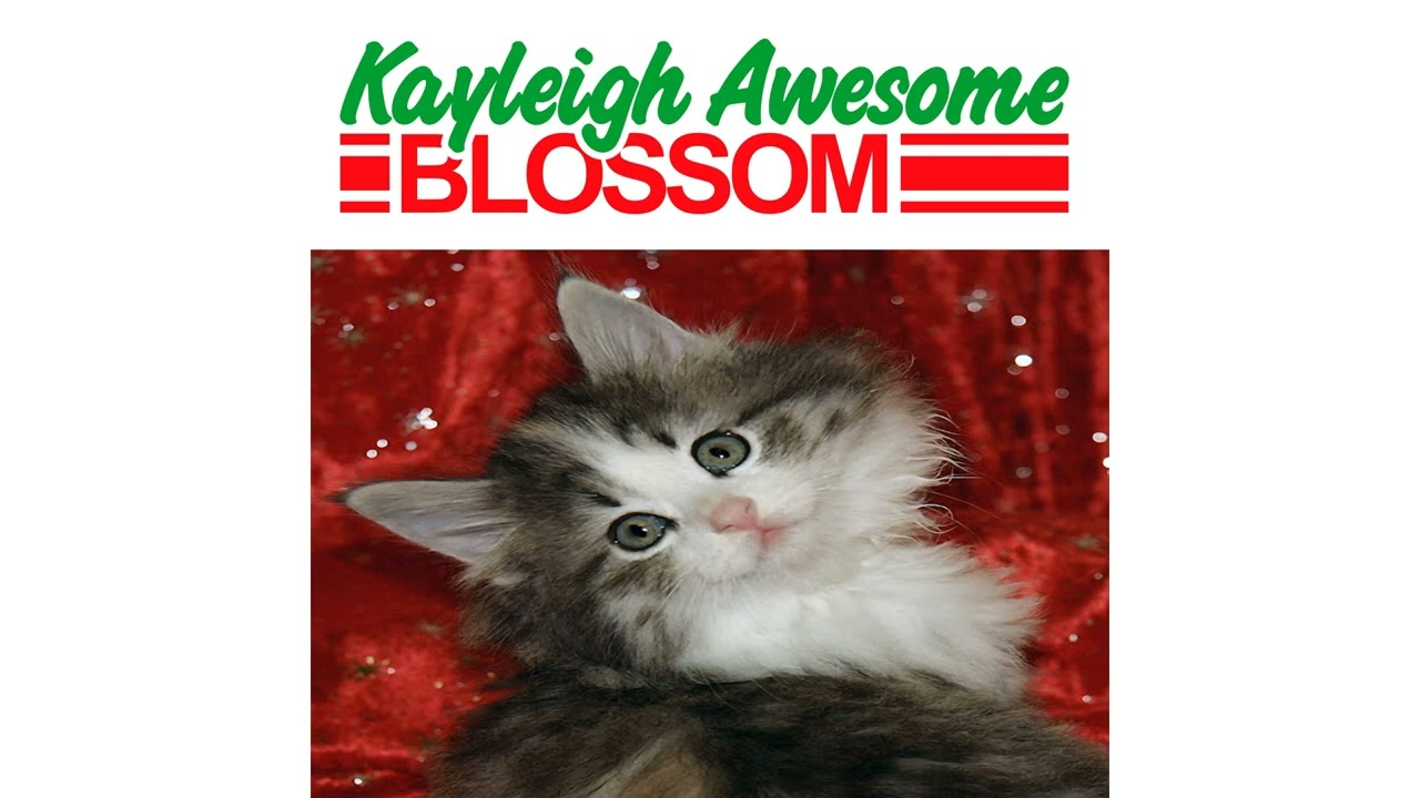 Monte Hills - liarrr