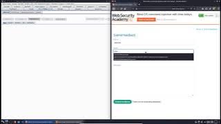 Blind OS command injection with time delays (Video solution, Audio)