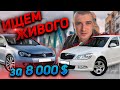 10 АВТО В 1 ВИДЕО АВТОПОДБОР ДО 8000 $ SKODA OCTAVIA A5/ VOLKSWAGEN GOLF 6. 1.6 ДИЗЕЛЬ УНИВЕРСАЛ