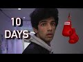 In 10 days  aaron the carrot vs tolbzter teaser trailer