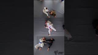 Barncat Jiu Jitsu PHONE(480) 237 3997 ADDRESS 8041 North Black Canyon Highway, Suite B Phoenix, AZ