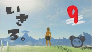 ニンテンドースイッチ ゼルダの伝説 Bow どんぐりコロコロ 9 Youtube ニンテンドースイッチ ゼルダの伝説 Bow どんぐりコロコロ 9 Youtube
