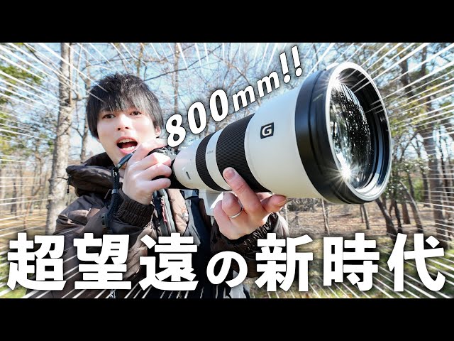 SONY α350花も動物も感動レベルで撮れる　プロ級マクロ＋望遠ズーム付 SONY - SONY α350 花も動物も感動レベルで撮れる プロ級マクロ＋