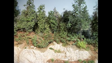 Forest Scene part 6 Static grass  & bushes