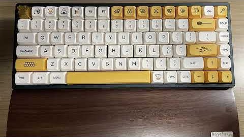 Keychron K2 w/ Glorious Holy Pandas Typing Test