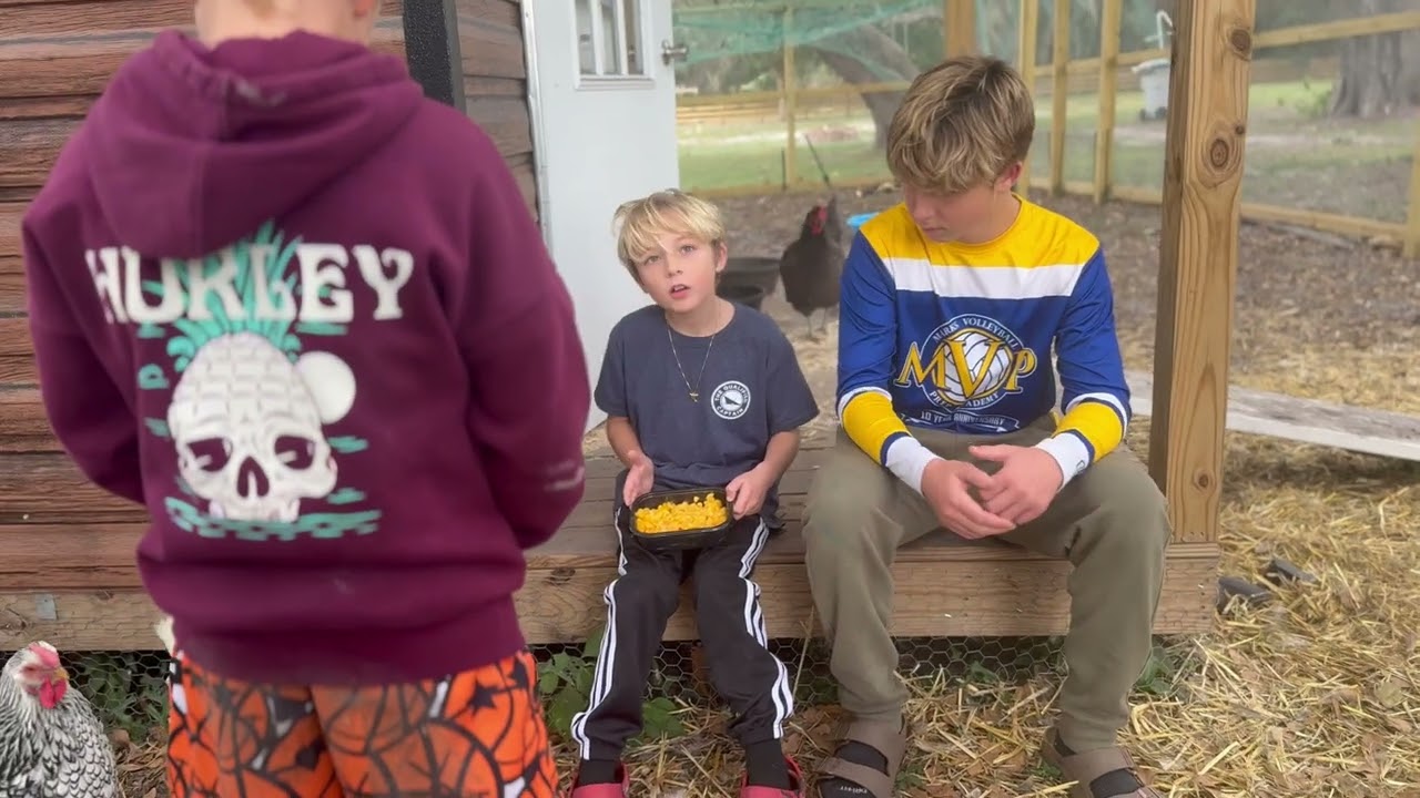 Their First Time Meeting Chickens