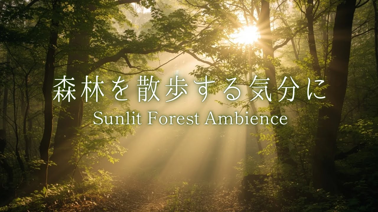 【作業用・癒しBGM】陽だまりの森で癒しの時間｜リラックス・集中｜Morning Forest Ambience