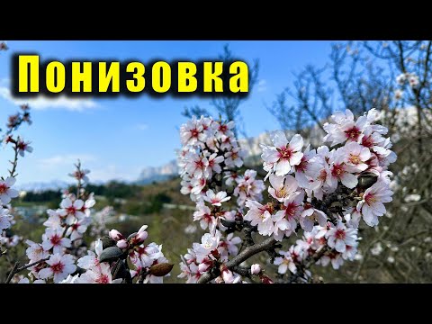 Крым, посёлок Понизовка, море и цветущий миндаль. Урезанная версия (читайте описание).