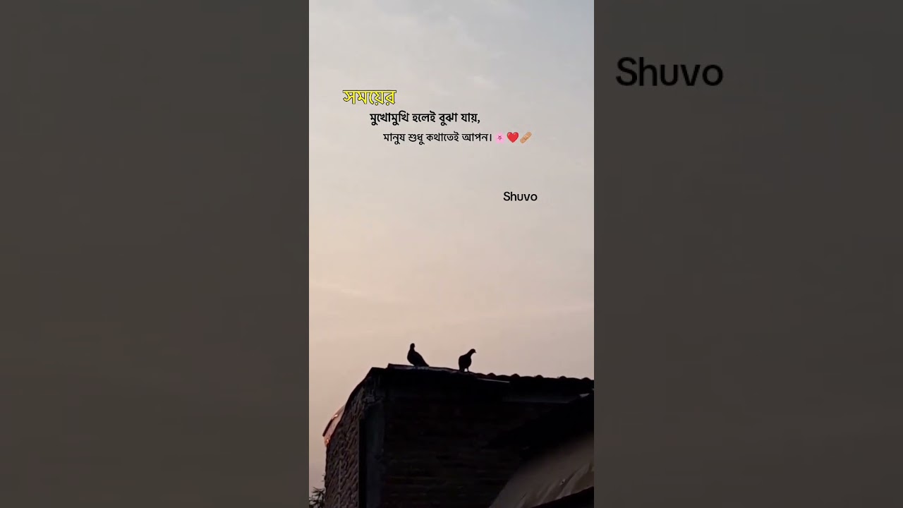 very sad story |Block sreen video |       koster kotha |