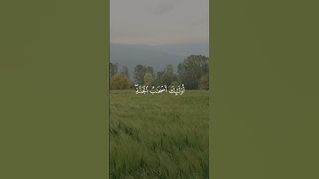 سورة يونس 26 | عبدالرحمن مسعد [قراءة 2023]