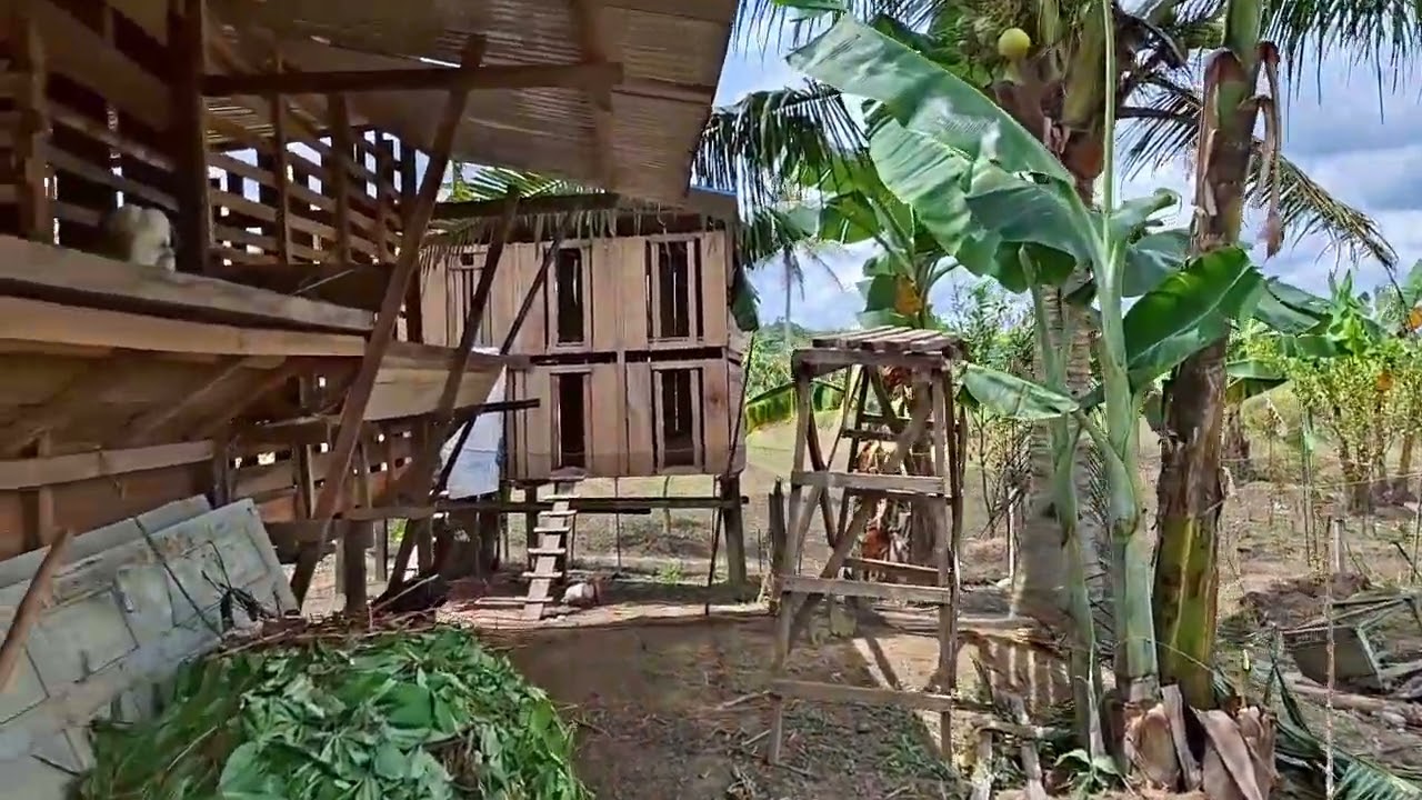 Tempat wisata seru di IbuKotaNusantara Agrowisata Tenang Jiwo #IKN #DinasPariwisataKukar #pokdarwis