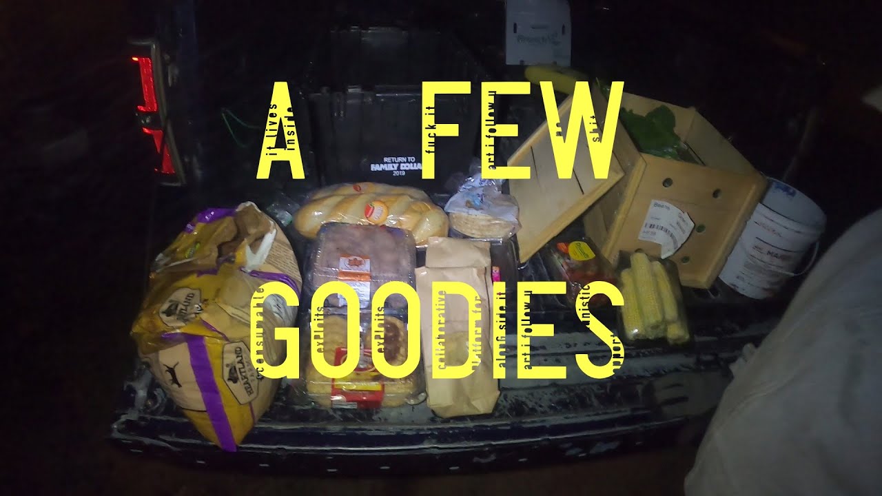 A Few Goodies dumpster diving YouTube