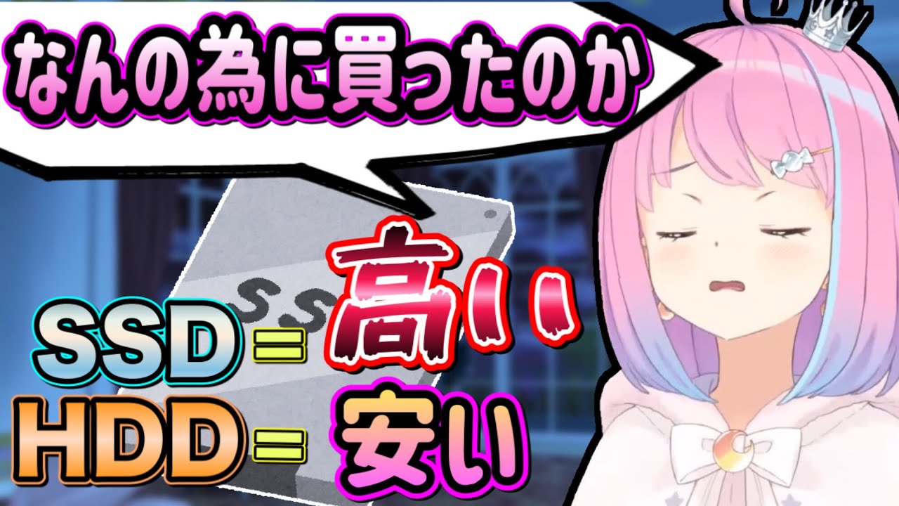 SSDを購入するもケチってしまい、購入した意味を失ってしまうルーナ姫【姫森ルーナ切り抜き/ホロライブ】