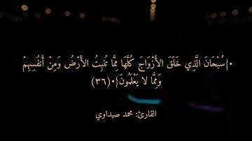 وَالشَّمْسُ تَجْرِي لِمُسْتَقَرٍّ لَهَا ذَلِكَ تَقْدِيرُ الْعَزِيزِ الْعَلِيمِ (38)~»سورة يس🌅💫💛