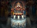 This Ritual Is NOT for Humans… 😳 | Jagannath Mystery #shorts #jaganatha #vishu #sanatandharma #god