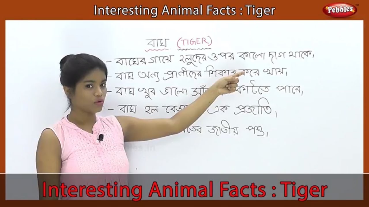 essay about tiger in bengali