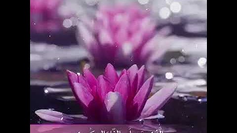 سورة الاعلى الشيخ خالد الجليل تلاوة خاشعة بجودة عاليه ومكتوبة استمتعو#قران_كريم #خالد_الجليل