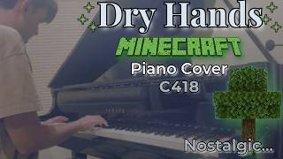 “Dry Hands” (Minecraft) Piano Cover 🎹 | The Most Nostalgic Song You Forgot…