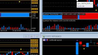 Volatility across all the markets in MT5