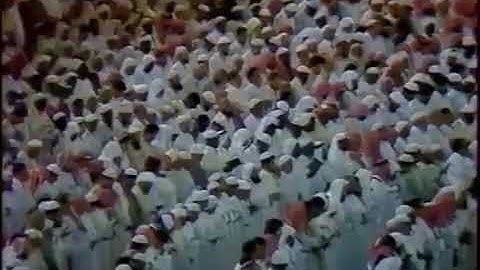 سورة عَبَسَ - #علي_جابر