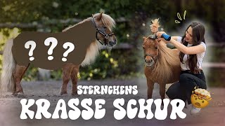 PONY gets crazy STAR-SHEARING🤯