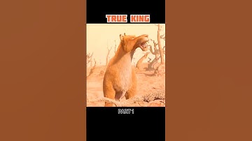 The terrible beast that rules the jungle 😨😨😨part 1#malayalam #movies #explained #stories #shorts