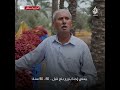 دير البلح في غزة مدينة النخيل دير البلح في غزة مدينة النخيل