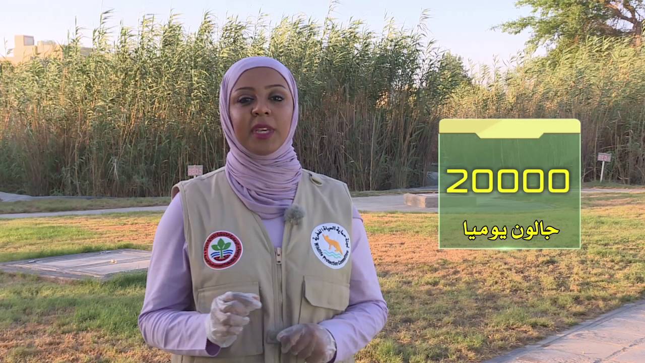 برنامج كل يوم نبتة حلقة نبات البوص الحلقة السادسةعشر