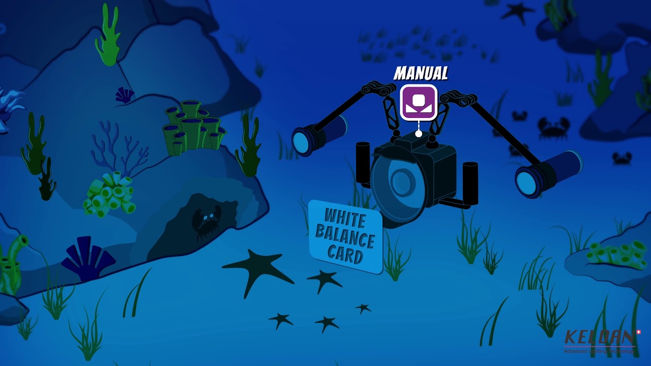 KELDAN Ambient Light Filters explained