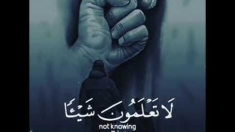 والله أخرجكم من بطون أمهاتكم لا تعلمون شيئا / مع الشيخ ياسر الدوسري تلاوة خاشعة جدا 🤍🕊