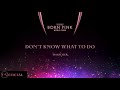 Blackpink  dont know what to do   born pink world tour  visualizer   yv