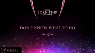 BLACKPINK  ‘Don’t Know What To Do’  [ BORN PINK WORLD TOUR | VISUALIZER ] | Y.V