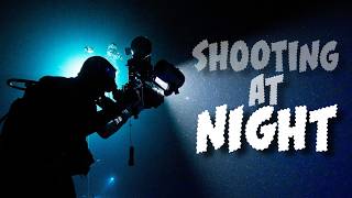 What to Expect When Shooting Underwater at Night screenshot 3