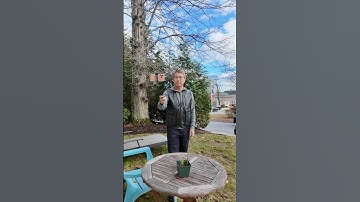 NEEWER P15 Selfie Stick