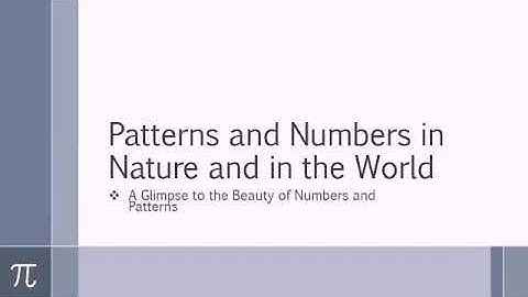 Lhester Reyes/ Patterns and Numbers in Nature and in the World
