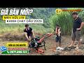 GIÁ BÁN MÁY XỚI ĐẤT CHẠY DẦU KAMA178 MỚI NHẤT LÀ BAO NHIÊU?