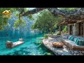 ASMR Relaxing Nature Sounds Calm Lake Ambience For Sleep Meditation Stress Relief ASMR Relaxing Nature Sounds Calm Lake Ambience For Sleep Meditation Stress Relief